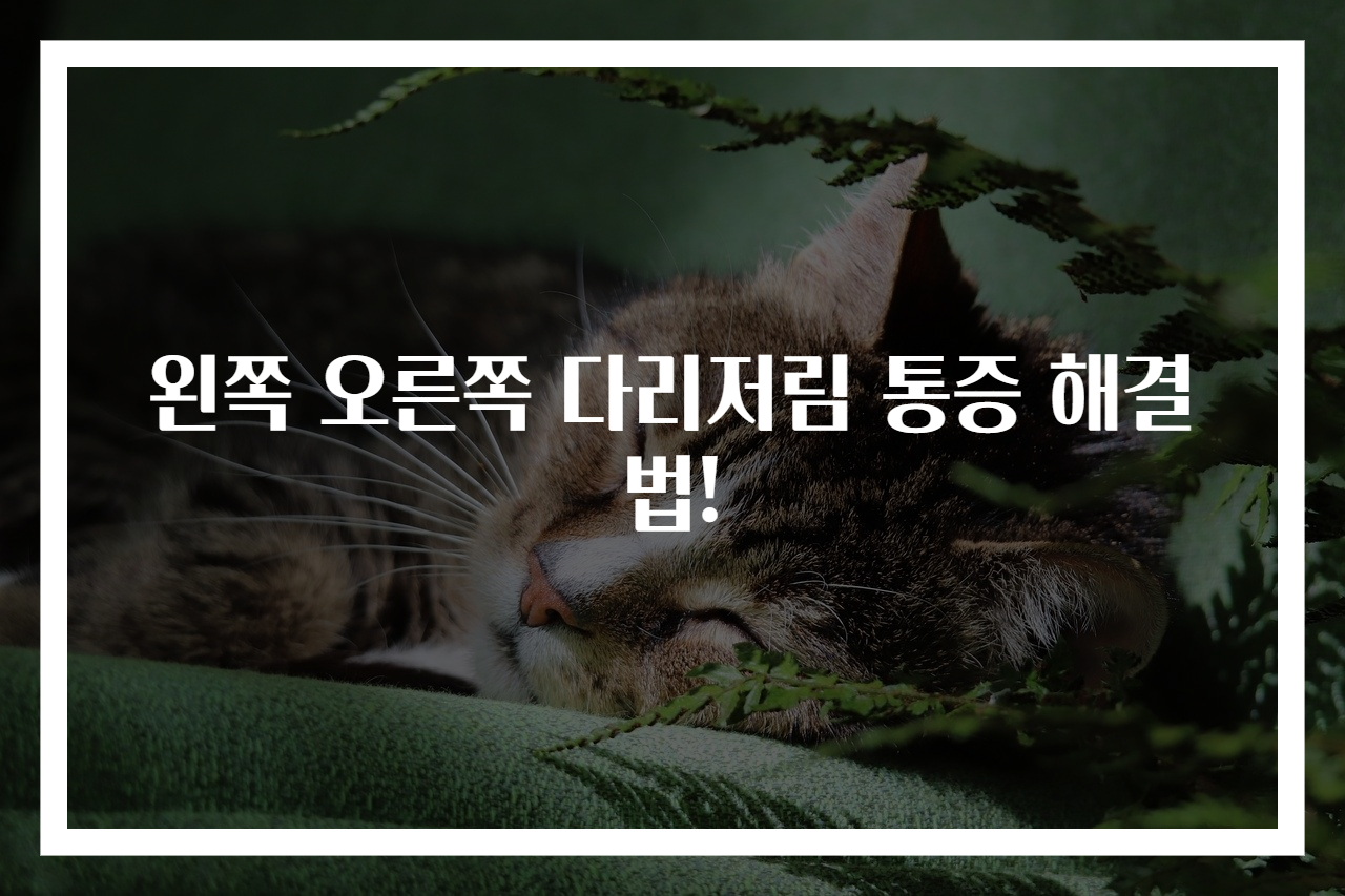 왼쪽 오른쪽 다리저림 통증 해결법!