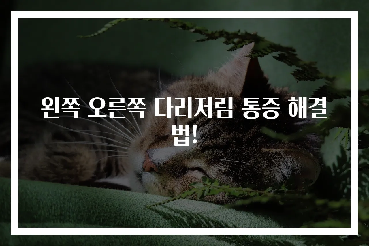 왼쪽 오른쪽 다리저림 통증 해결법!