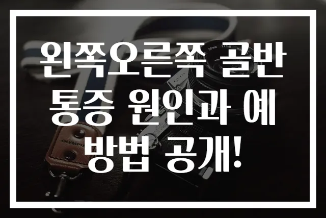 왼쪽오른쪽 골반 통증 원인과 예방법 공개!