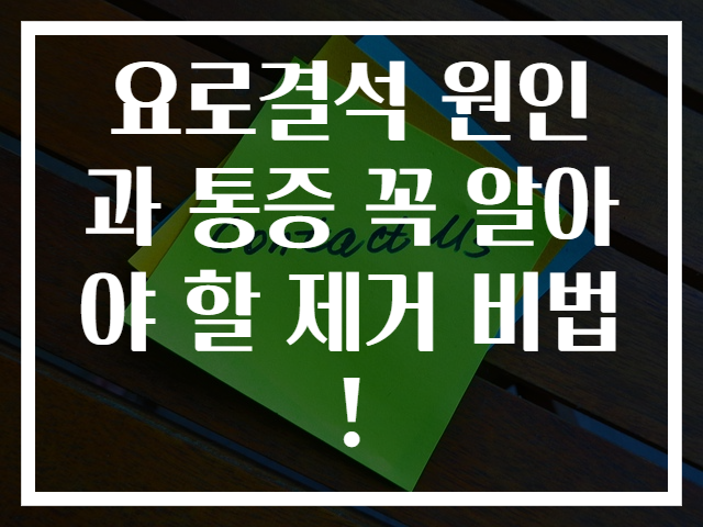 요로결석 원인과 통증 꼭 알아야 할 제거 비법!