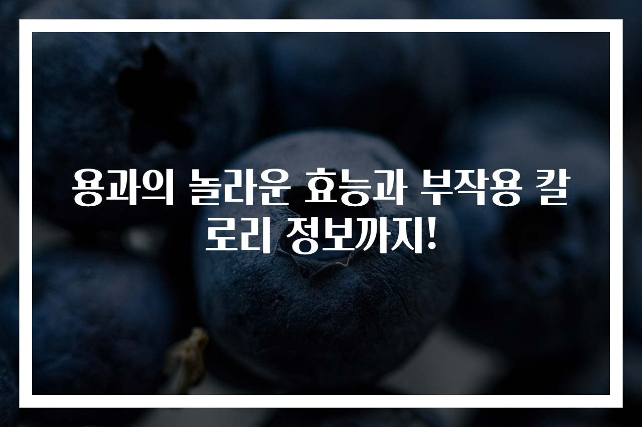 용과의 놀라운 효능과 부작용 칼로리 정보까지!