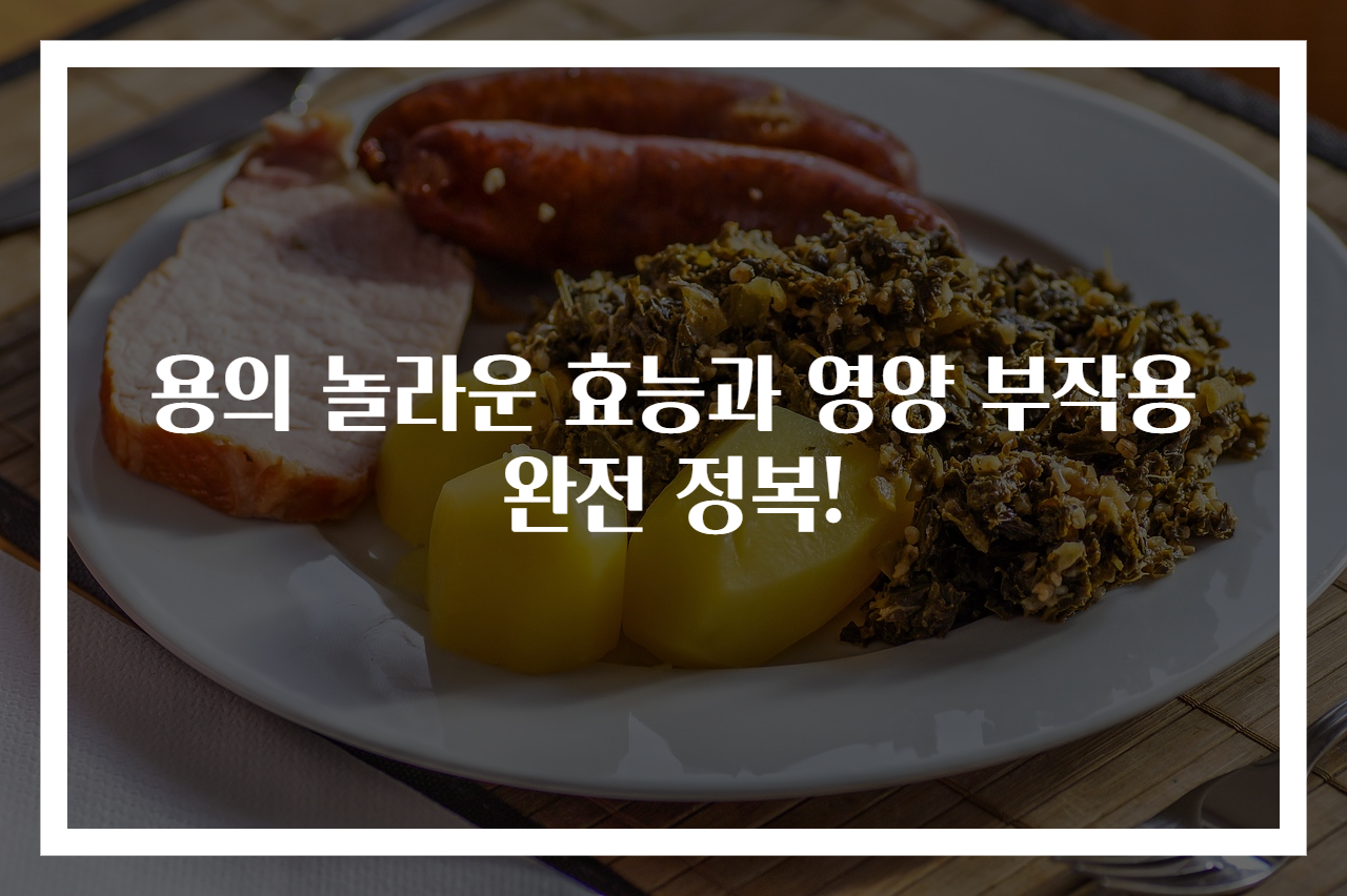 용의 놀라운 효능과 영양 부작용 완전 정복!