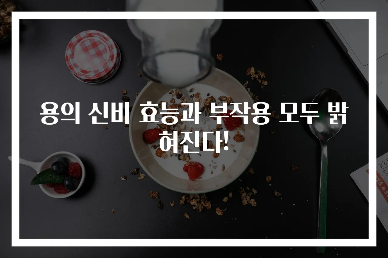 용의 신비 효능과 부작용 모두 밝혀진다!