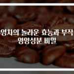 우엉차의 놀라운 효능과 부작용 영양성분 비밀