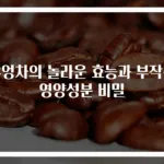 우엉차의 놀라운 효능과 부작용 영양성분 비밀
