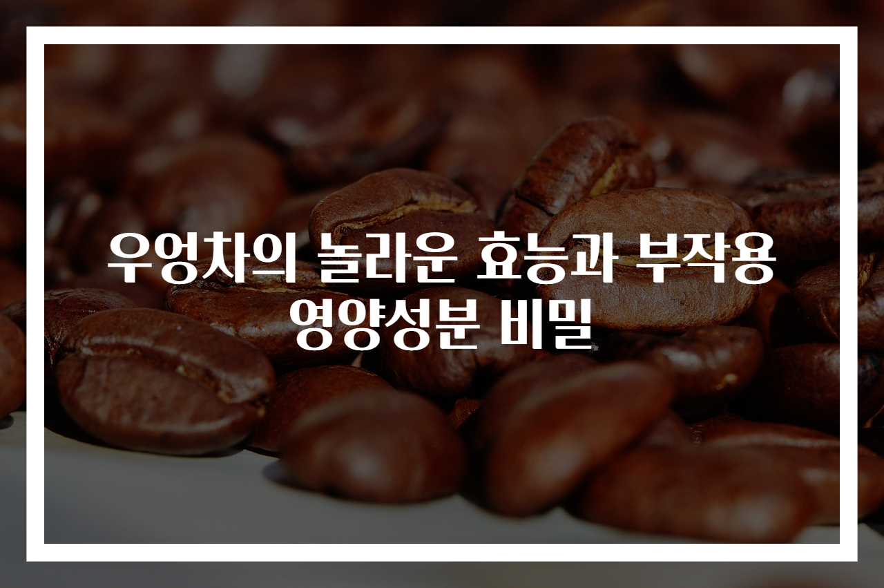 우엉차의 놀라운 효능과 부작용 영양성분 비밀
