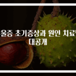 우울증 초기증상과 원인 치료법 대공개