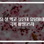우유 잘 먹고 싶은데 유당불내증 극복 비밀!25자