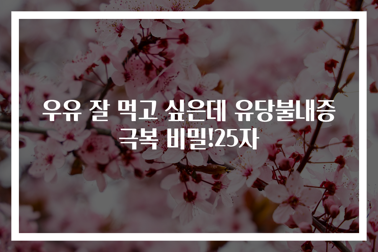 우유 잘 먹고 싶은데 유당불내증 극복 비밀!25자