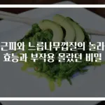 유근피와 느릅나무껍질의 놀라운 효능과 부작용 몰랐던 비밀