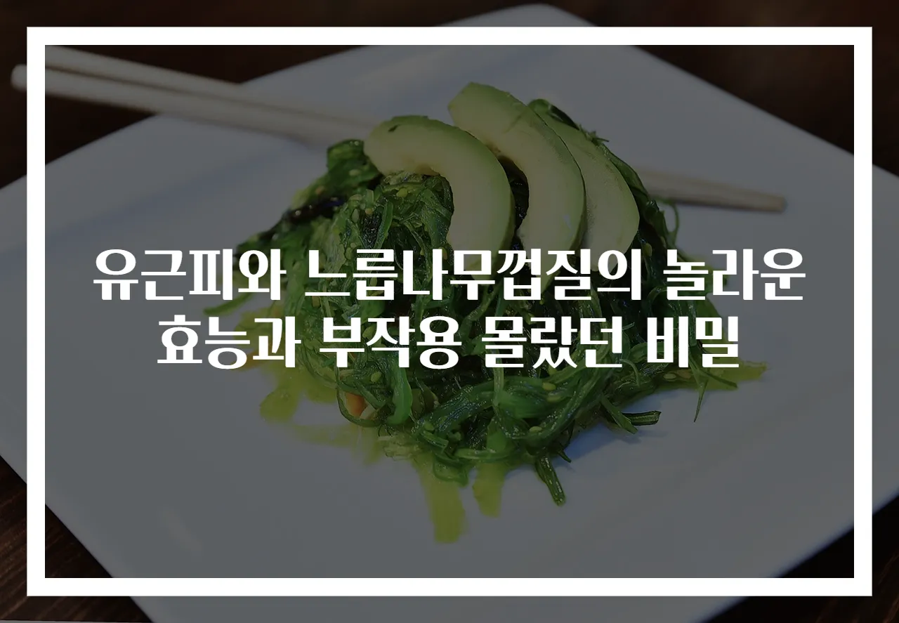 유근피와 느릅나무껍질의 놀라운 효능과 부작용 몰랐던 비밀