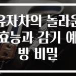 유자차의 놀라운 효능과 감기 예방 비밀