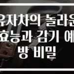 유자차의 놀라운 효능과 감기 예방 비밀