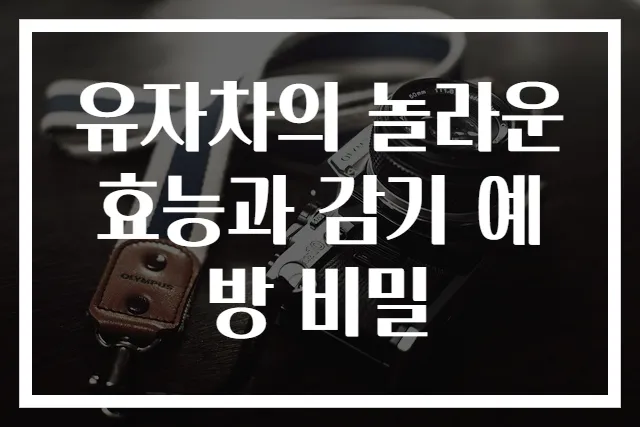 유자차의 놀라운 효능과 감기 예방 비밀