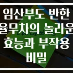 임산부도 반한 율무차의 놀라운 효능과 부작용 비밀