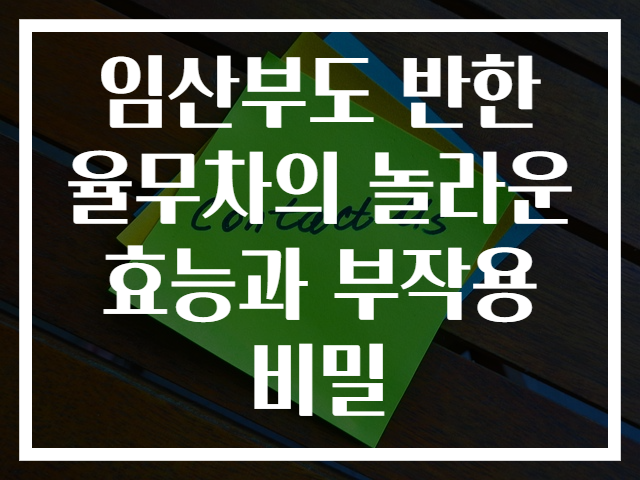 임산부도 반한 율무차의 놀라운 효능과 부작용 비밀
