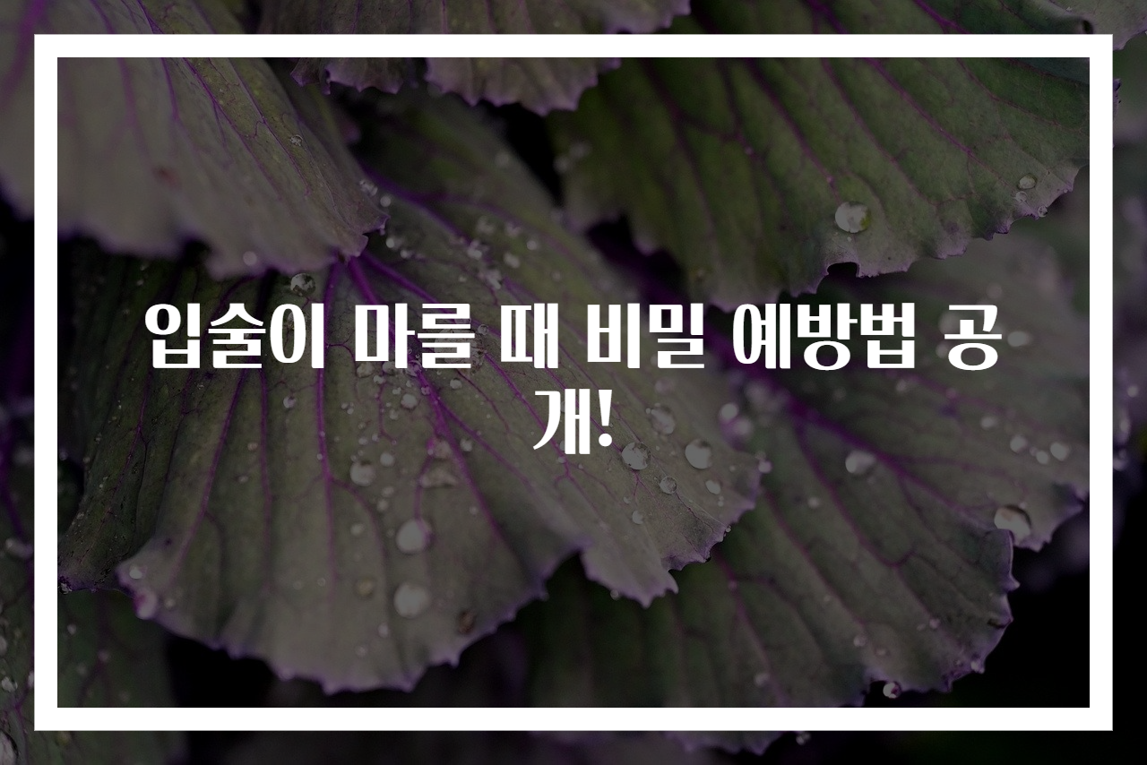 입술이 마를 때 비밀 예방법 공개!