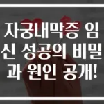 자궁내막증 임신 성공의 비밀과 원인 공개!