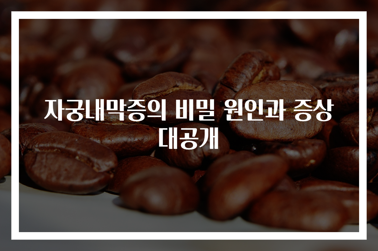 자궁내막증의 비밀 원인과 증상 대공개