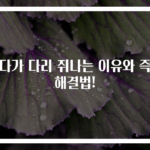 자다가 다리 쥐나는 이유와 즉시 해결법!