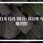 자다가 다리 쥐나는 이유와 즉시 해결법!