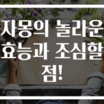 자몽의 놀라운 효능과 조심할 점!