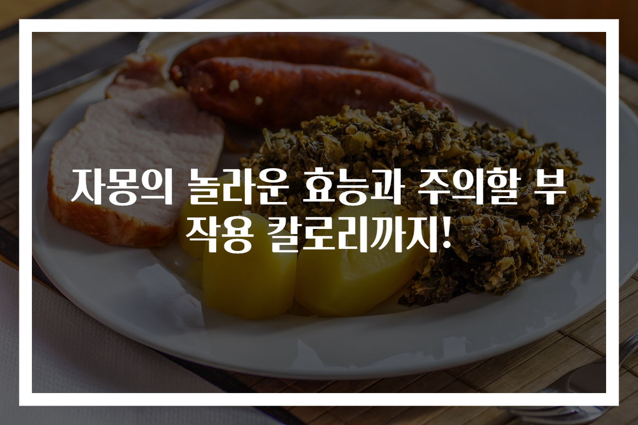 자몽의 놀라운 효능과 주의할 부작용 칼로리까지!
