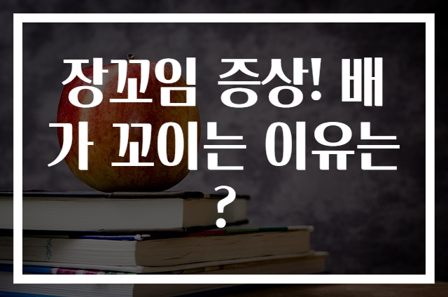 장꼬임 증상! 배가 꼬이는 이유는?