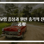 장꼬임 증상과 원인 충격적 진실 공개!