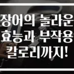 장어의 놀라운 효능과 부작용 칼로리까지!
