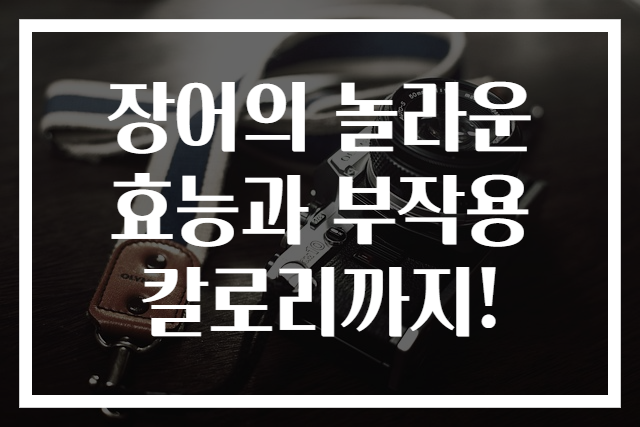 장어의 놀라운 효능과 부작용 칼로리까지!