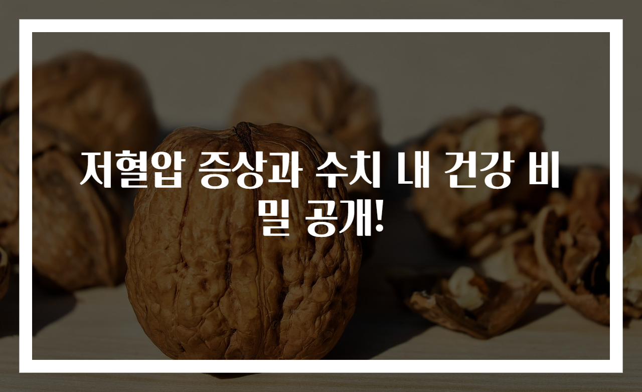 저혈압 증상과 수치 내 건강 비밀 공개!