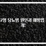 제2형 당뇨병 원인과 예방법 공개!