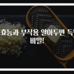 조효능과 부작용 알아두면 득될 비밀!