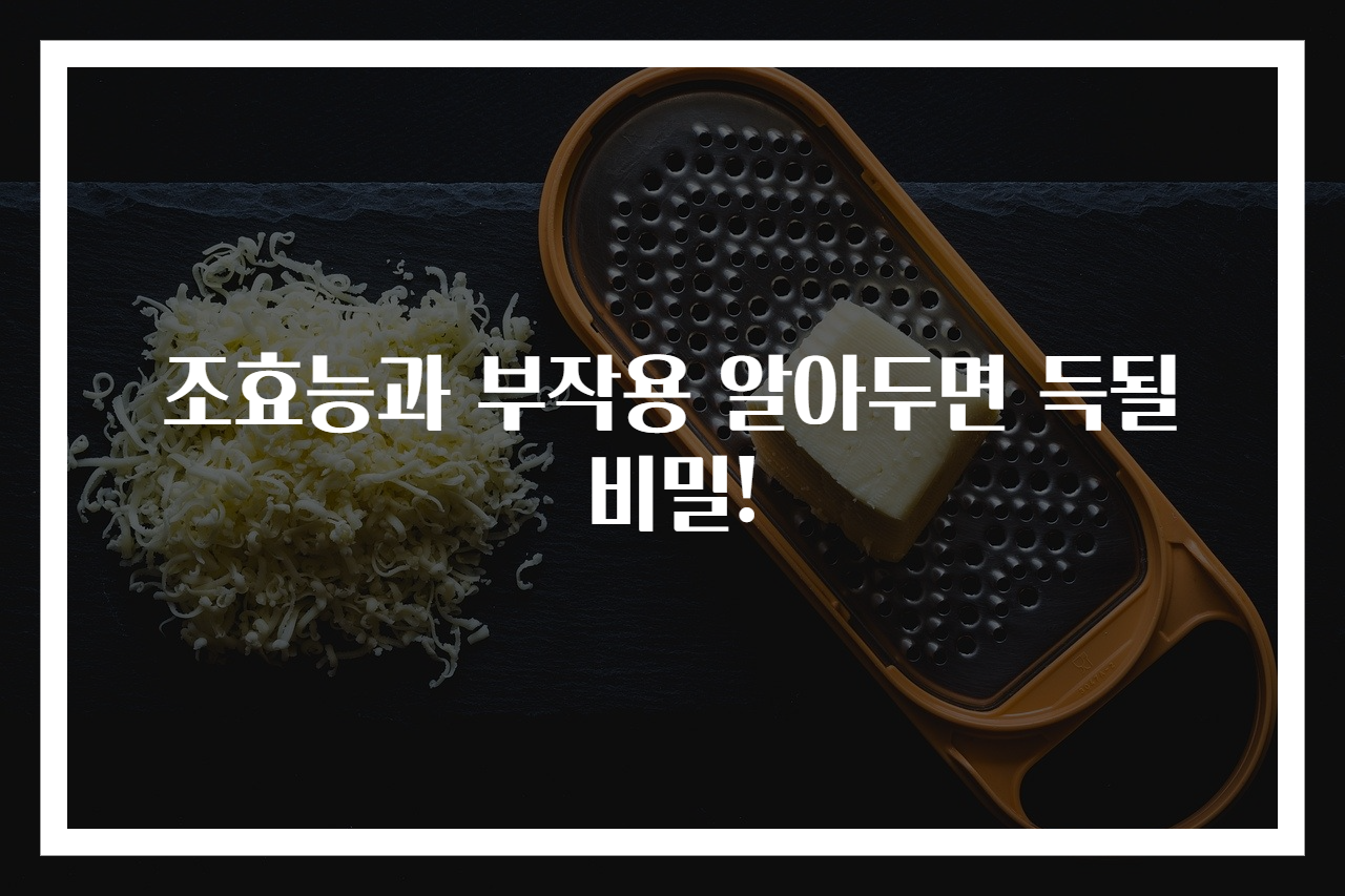 조효능과 부작용 알아두면 득될 비밀!