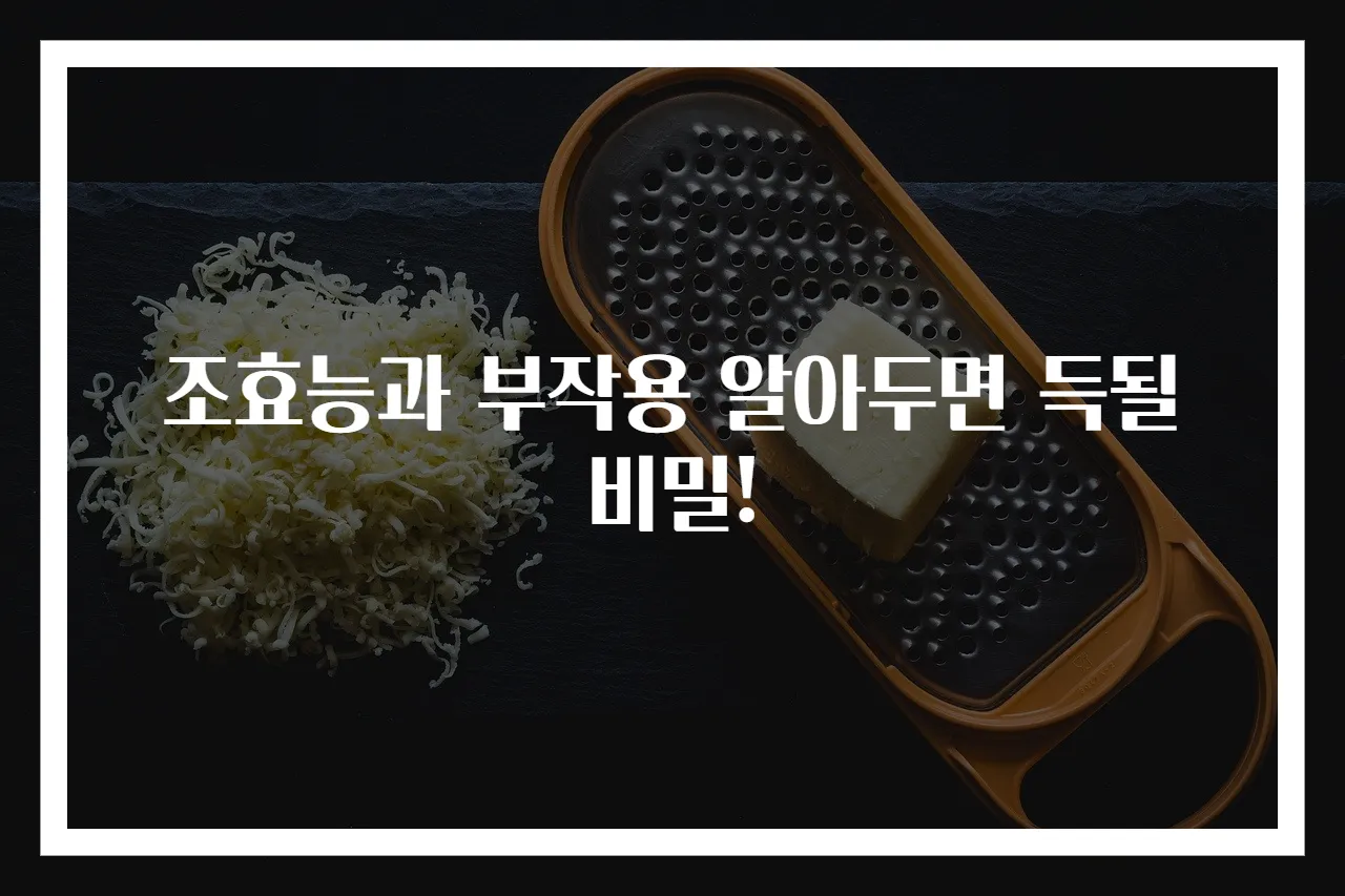 조효능과 부작용 알아두면 득될 비밀!