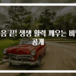 졸음 끝! 생생 활력 깨우는 비법 공개
