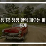 졸음 끝! 생생 활력 깨우는 비법 공개