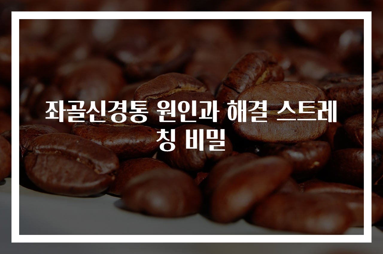 좌골신경통 원인과 해결 스트레칭 비밀