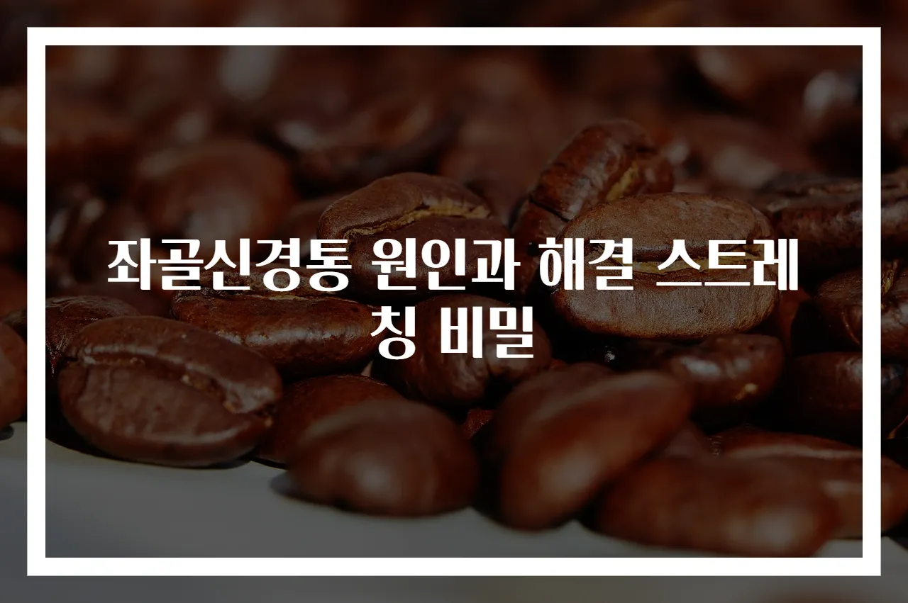 좌골신경통 원인과 해결 스트레칭 비밀
