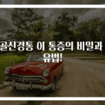 좌골신경통 이 통증의 비밀과 치유법!