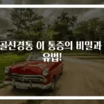 좌골신경통 이 통증의 비밀과 치유법!