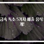 중금속 독소 5가지 배출 음식 공개!