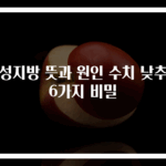 중성지방 뜻과 원인 수치 낮추는 6가지 비밀