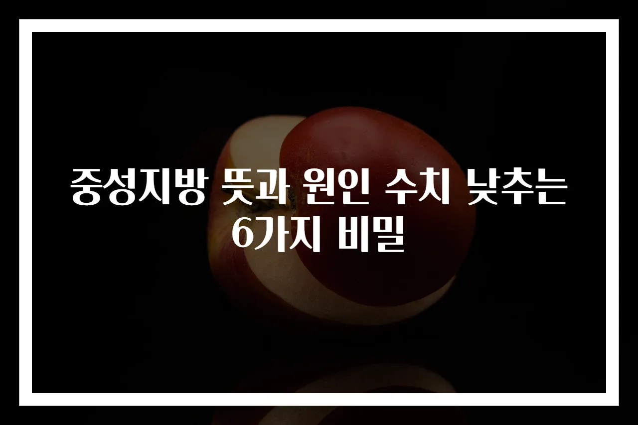 중성지방 뜻과 원인 수치 낮추는 6가지 비밀