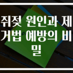 쥐젖 원인과 제거법 예방의 비밀