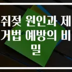 쥐젖 원인과 제거법 예방의 비밀
