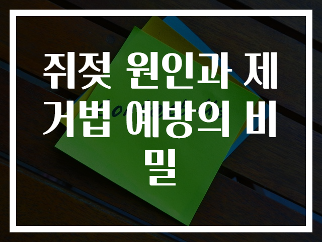 쥐젖 원인과 제거법 예방의 비밀