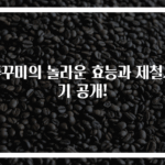 쭈꾸미의 놀라운 효능과 제철시기 공개!