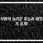 쭈꾸미의 놀라운 효능과 제철시기 공개!